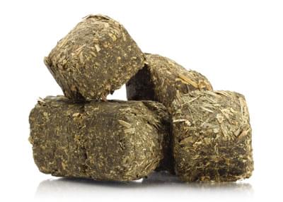 Adasio Alfalfa Cubes