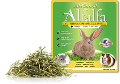 Adasio Small Animal Alfalfa Hay