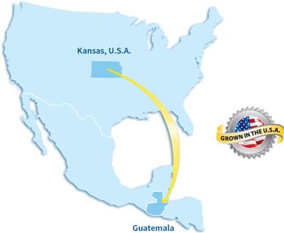 Adasio feeds from Kansas to Guatemala