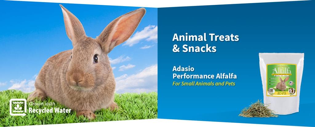 Adasio Alfalfa Treats
