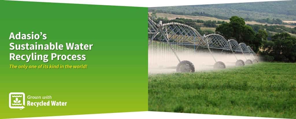 Adasio water sustainability